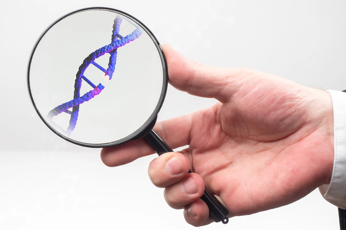 DNA disease concept A break in genome molecule like sivol DNA disease Genome molecule under a magnifying glass Hand with a magnifying glass on a white background DNA disease in genetics